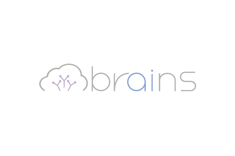 brainstechnology
